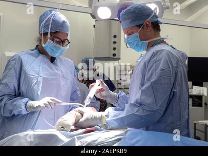 Surgeons at an NHS Hospital perform a knee operation, known as an Arthroplasty, to repair the damaged joint with an artificial one. Stock Photo