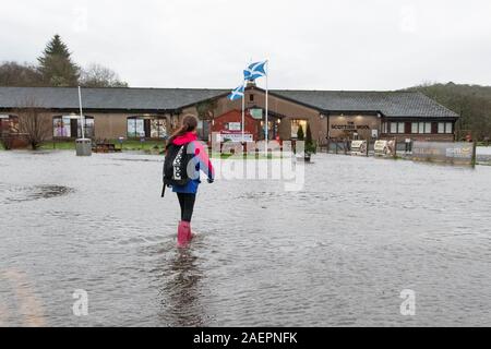 Aberfoyle, Stirlingshire, Scotland, UK. 10th Dec, 2019. UK weather - Charlie dons her wellies and inspects the flooding outside the Scottish Wool Centre in Aberfoyle after the River Forth bursts its banks and the primary school is closed and children sent home for the day Credit: Kay Roxby/Alamy Live News Stock Photo