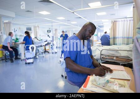 An NHS nurse in a Hospital Ward checks a patients' notes as the NHS feels even more under pressure through high demands and budget cuts. Stock Photo