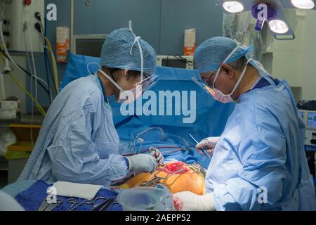 Surgeons at an NHS Hospital perform a knee operation, known as an Arthroplasty, to repair the damaged joint with an artificial one. Stock Photo