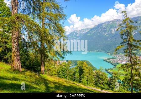 Amazing Brienz Lake in Interlaken, Switzerland photographed from the hiking path leading to Harder Kulm. Beautiful Swiss landscape. Green hills and Alpine lake in the valley. Summer Alpine landscapes. Stock Photo