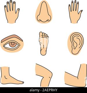 Vector illustrations pack of human feet in various gestures Stock ...