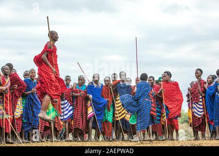 Same, Tanzania, 5th June, 2019: maasai warriors, jumping impressive haights to impress ladies Stock Photo