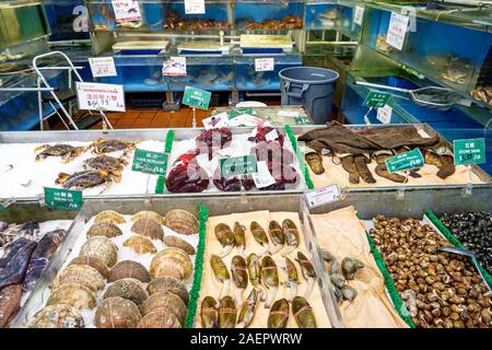 Orlando Florida,East Colonial Drive,Little Vietnam,Asian,iFresh Market,inside,fresh fish seafood,clams,crabs,squid,display sale,FL190920142 Stock Photo