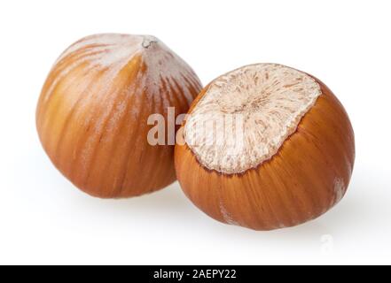 Hazelnuts isolated on white background with clipping path Stock Photo