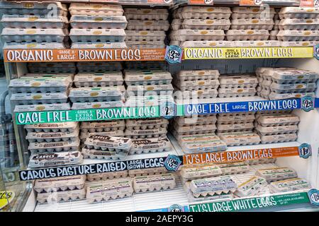 Miami Beach Florida,Trader Joe's,grocery store supermarket food,shopping,inside interior,eggs,egg cartons,organic,cage free,brown,pasture raised,displ Stock Photo