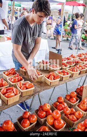 Orlando Winter Park Florida,Downtown,historic district,Farmers' Market,weekly Saturday outdoor,vendor,produce stand,plum tomatoes,wooden baskets,table Stock Photo