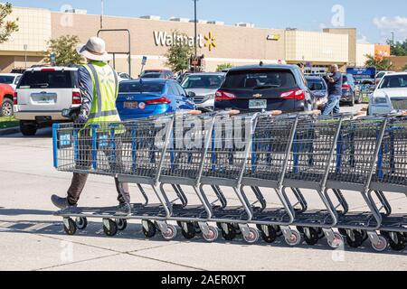 St. Saint Cloud Florida,Walmart,department store,exterior,parking lot,man,employee,worker,retrieving returning shopping carts,FL191110186 Stock Photo