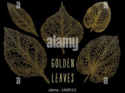 Golden vein leaves, gold skeleton leaf, set of vector design elements over black background Stock Vector