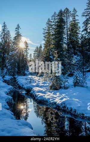 The sun reflects in the snowy, wintery forest stream which creates a calm and peaceful atmosphere. This mood invites you to go hiking in this wonderfu Stock Photo