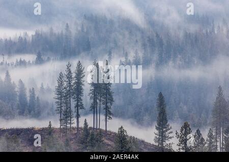 A cloudy and foggy mountain landscape near Hayden Lake in north Idaho. Stock Photo