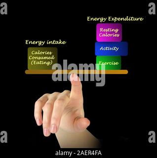 Balance between Energy intake and Energy expenditure Stock Photo