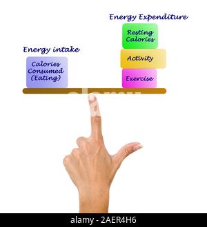 Balance between Energy intake and Energy expenditure Stock Photo