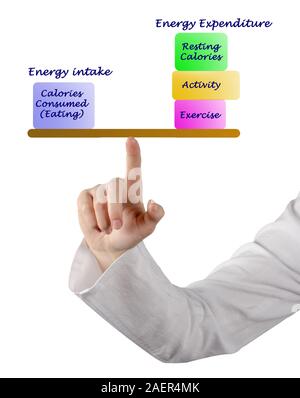 Balance between Energy intake and Energy expenditure Stock Photo