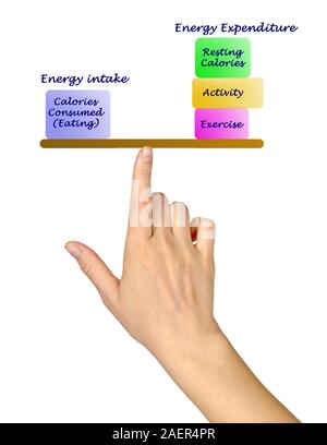 Balance between Energy intake and Energy expenditure Stock Photo