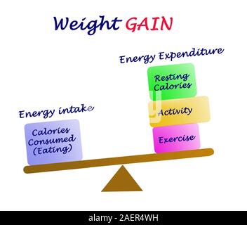 Balance between Energy intake and Energy expenditure Stock Photo