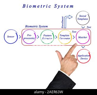 Diagram of Biometric System Stock Photo