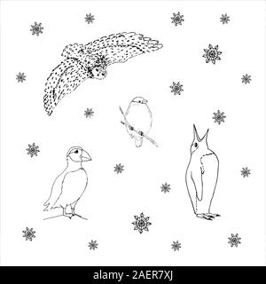 Set of northern winter birds: owl, bullfinch, puffin, penguin. Black outline on white background. Picture can be used in greeting cards, posters, flyers, banners, logo, further design etc. Vector illustration. EPS10 Stock Vector