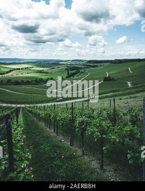 Blick über die Weinfelder beim Hörnle in der Nähe von Dürrenzimmern Stock Photo