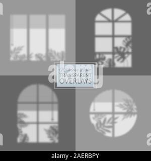 Set of Shadow and light overlay effect of various window frames and plant leaves. Transparent soft light and shadows from plant branches, leaves and Stock Vector