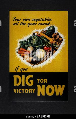 'Dig For Victory Now' poster, a piece of World War II related replica memorabilia from Britain in the 1940s. Stock Photo