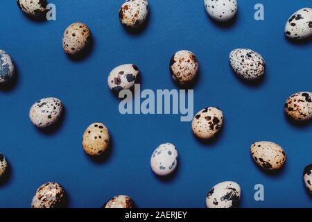 Small quail eggs on a blue paper perforated background Stock Photo