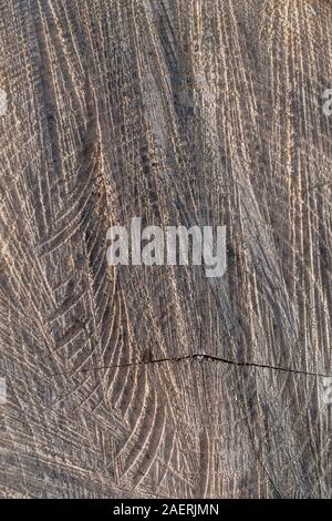 Side-lit chainsaw marks scarring the cut surface of a tree trunk.Highly abstract texture. Unusual visual metaphor for logging, and forestry metaphor. Stock Photo
