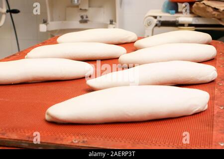 Bread dough before it starts to ferment Stock Photo