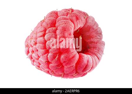 ripe raspberry isolated on white background close up Stock Photo