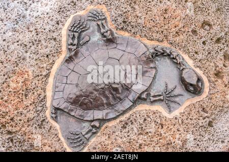 Melbourne, Australia - November 16, 2009: Closeup of Skeleton of turtle with spread legs set in beige brown stone in park. Stock Photo