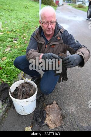 Karlsruhe, Germany. 18th Nov, 2019. Stefan Eisenbarth shows rubbish that he collected while cleaning a stork's nest. Plastic waste in particular, which storks bring into the nest as supposed food or nesting material, is harmful for the animals. (to dpa: 'Cleaning in the stork's nest - danger by plastic garbage') Credit: Uli Deck/dpa/Alamy Live News Stock Photo