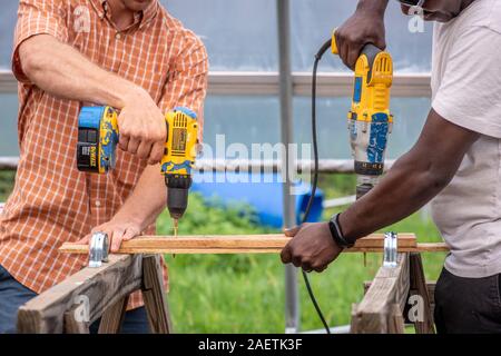 Two workers joining two pieces of wood with screws, Baltimore, Maryland. Stock Photo
