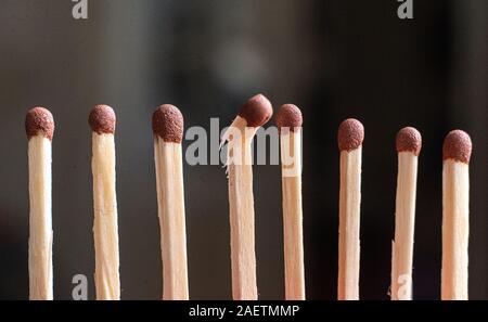 single unique wooden match among the other regular ones, the teamwork idea Stock Photo