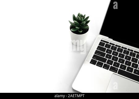 Laptop on white desk decorate with small green plant. Free copy space on left for text or design. Flay lay. Stock Photo
