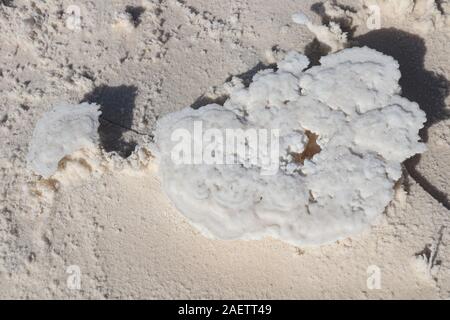 View of the 'flowers' made of magnesium sulfate crystallization and sodium sulfate crystallization in Guanxi Salt Field in Lianyungang city, east Chin Stock Photo