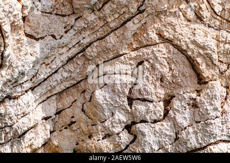 Closeup view on limestone rock texture fragment on Gargano coastline in Puglia, Italy. Rock formations example Stock Photo