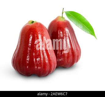 Rose apples or chomphu isolated on white with clipping path Stock Photo