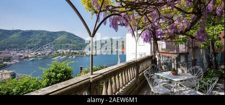 Fantastic veranda covered by colorful wisteria on a beautiful spring day Stock Photo