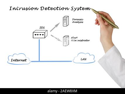 diagram of Intrusion Detection System Stock Photo