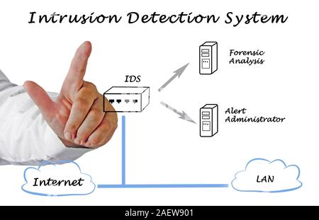 diagram of Intrusion Detection System Stock Photo - Alamy