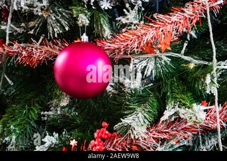 Christmas decorations on pine tree. Pink Christmas ball hanging on the Christmas tree close-up. save space on the red ball. Stock Photo