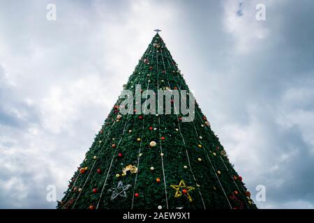 Decorated Christmas tree. Christmas tree against blue sky background. Stock Photo
