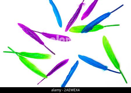 Colorful pattern made of feathers on white background, isolated. MInimal boho style color concept. Flat lay, top view, copy space. Classic blue color of the year 2020. Stock Photo