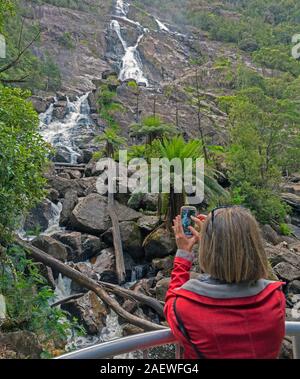 The 90 meter high St Columba Falls at St Columba Falls State Reserve, Tasmania, Australia. Stock Photo