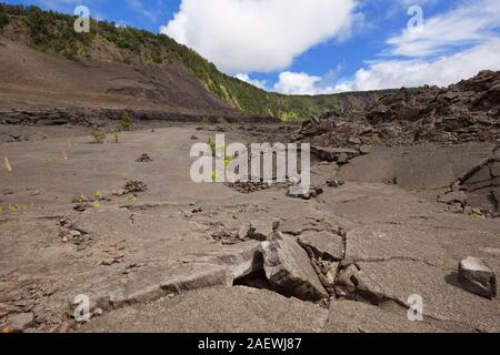 Crater floor of the Kilauea Iki crater in Volcanoes National Park in Big Island Hawaii, USA. Stock Photo