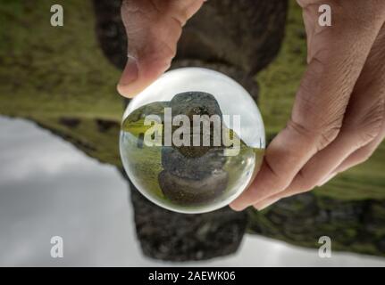 Hand holding glass with Moai statue Stock Photo