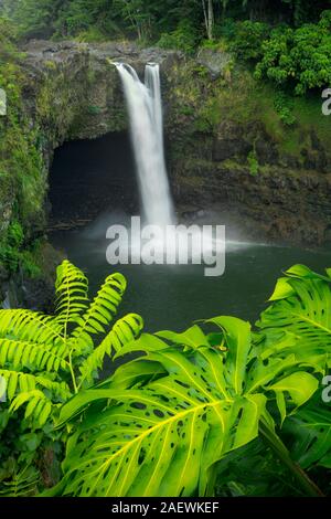 The Rainbow Falls with lush foliage on Big Island Hawaii, USA. Stock Photo