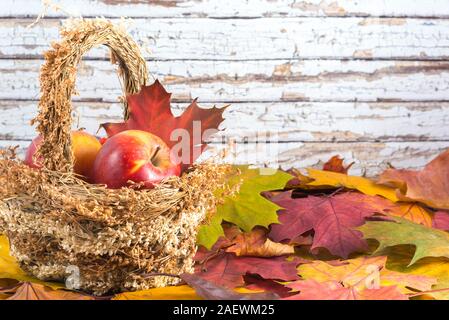 Bright maple leaves and apples  in a basket white wood background Stock Photo