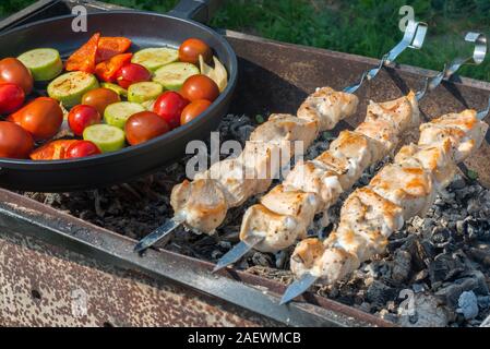 Barbeque. Cicken meat skewers with tomato, peppers, zucchini, celery Stock Photo