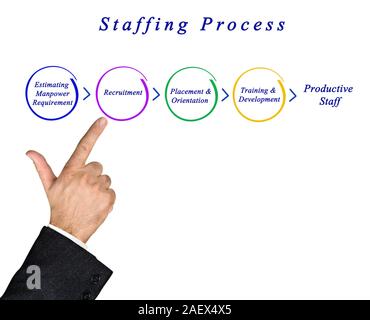 Diagram of staffing process Stock Photo